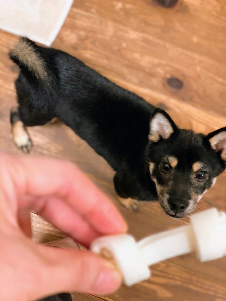 おやつに熱い視線