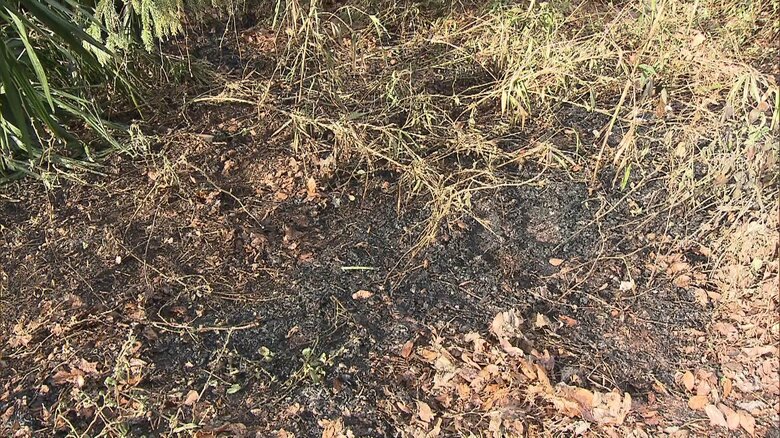 21日も宇都宮市内で雑木林など燃える