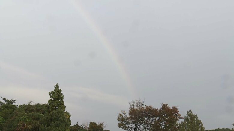 雨上がりの空に虹が…