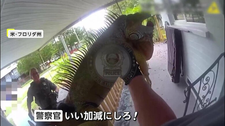 ようやく観念（Daytona Beach Police Department）