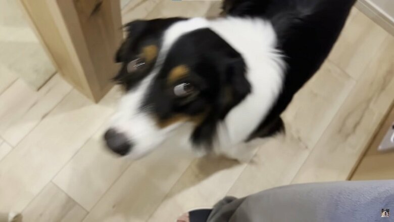 ロングバージョンで少しだけ登場するカイルくん