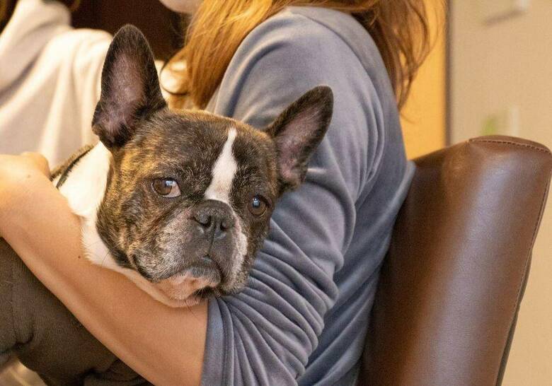 提供：丸男さん