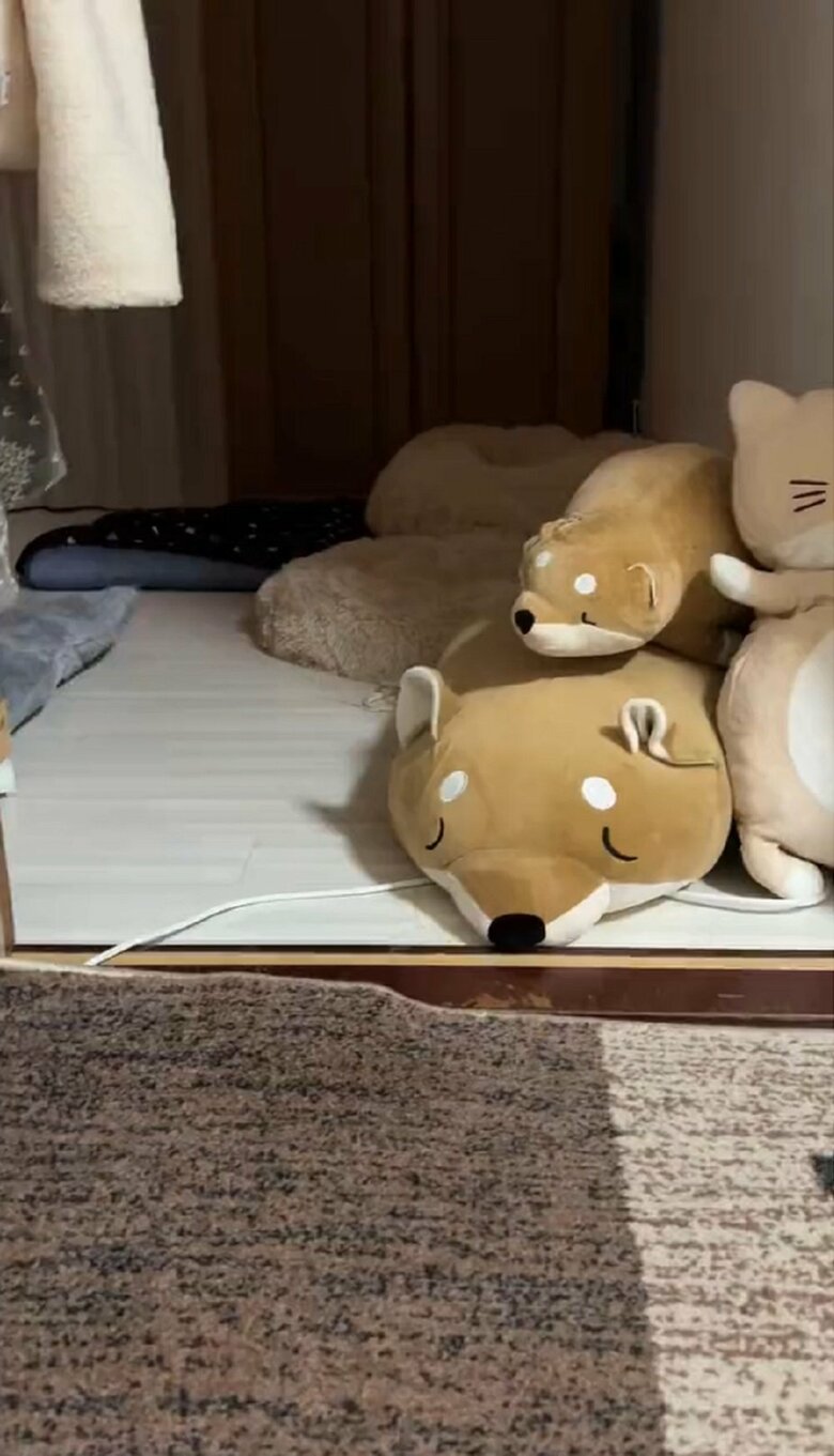 リビング入り口で待っていると…