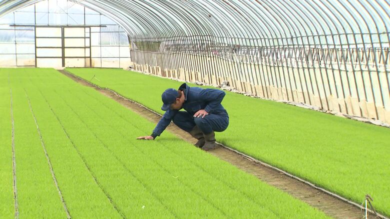 川添さんは今後の値動きに不安を感じている