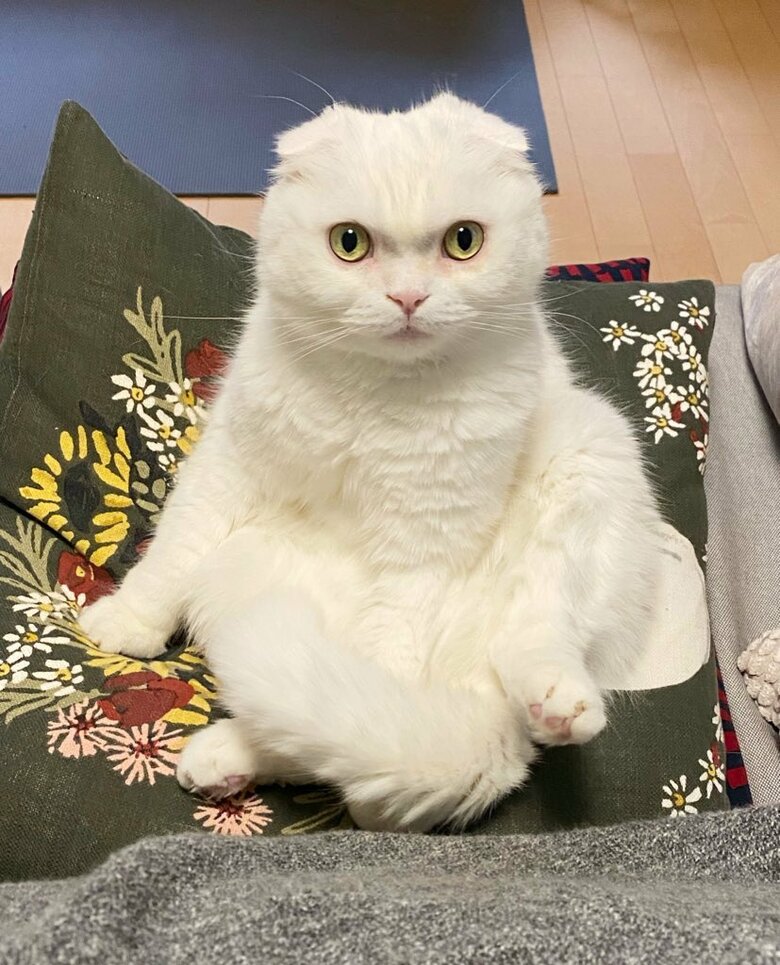まるかさんお気に入りのむくくん