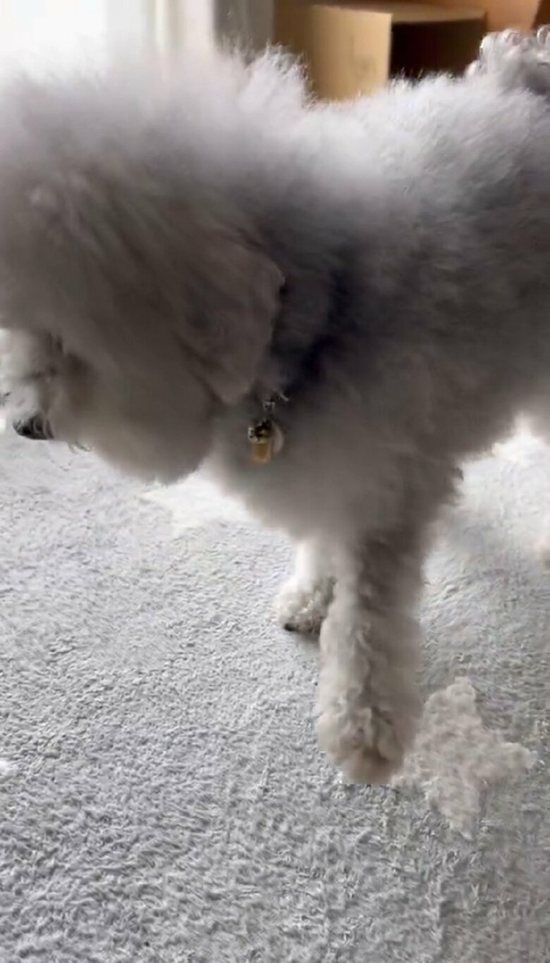 演技のレベルが高い！