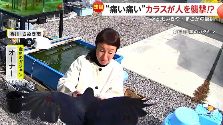 「ちょっと待って、ちょっと待って」とつぶきつつも笑ってしまってしまう撮影者
