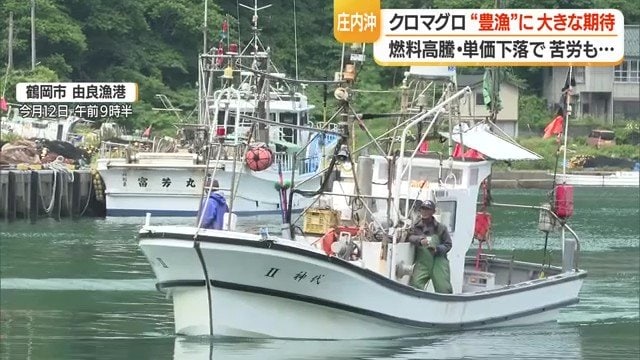 庄内浜に点在する港では、底びき網・刺網・1本釣り・はえ縄・定置網など多様な漁業が行われている