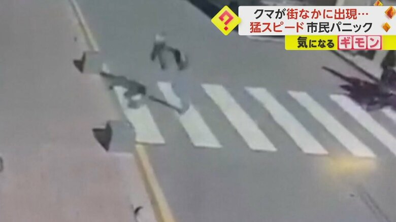 クマの出現に走って逃げる人