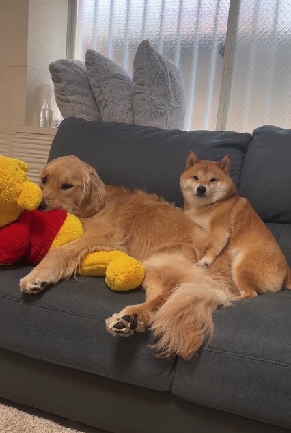 提供：うにandおからさん