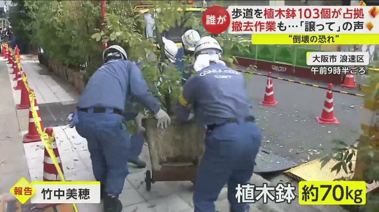 大人4人がかりで、70kgの鉢植えを台車に乗せていく