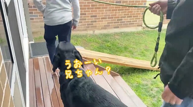 「うおーい兄ちゃん？」出かける長男を追いかけるえんぞうくん