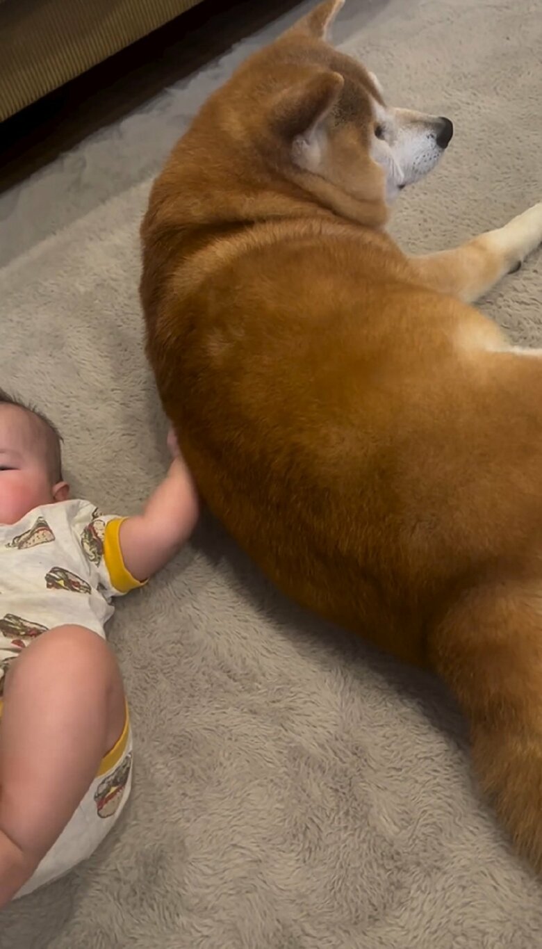 しかし、べりやんくんは全く動じていない