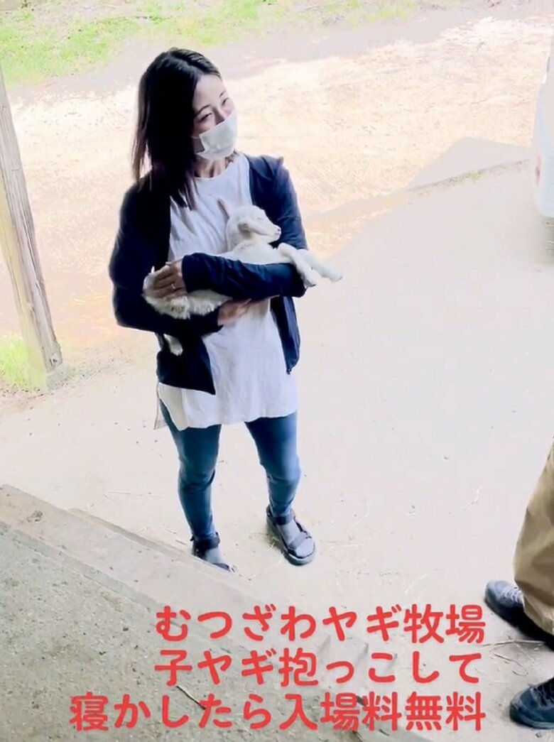 ゆらゆらと寝かしつけ（提供：むつざわヤギ牧場）
