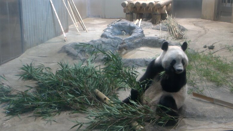  (公財)東京動物園協会提供