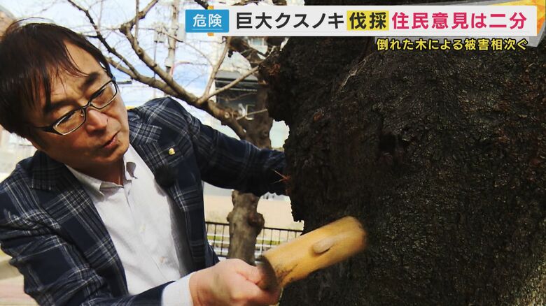 樹木医 笠松滋久さん