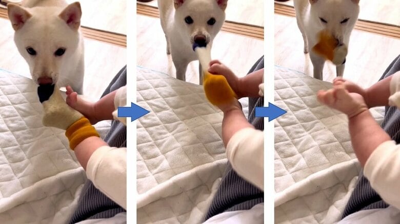 毎日の「靴下脱がし」