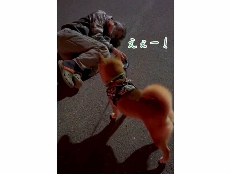 男性が一緒に寝るとすぐに起き上がるカンくん（提供：カンさん）