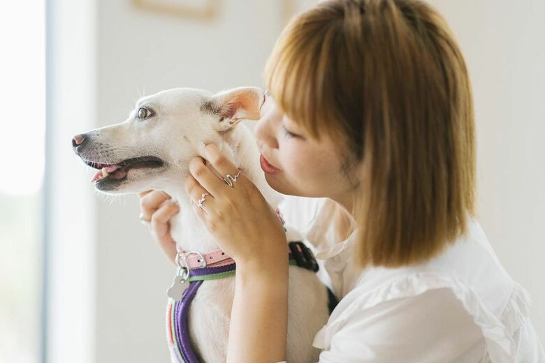提供：柴犬ハル&雑種すずさん