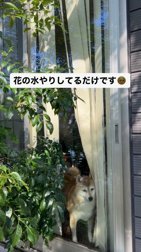 提供：橋本真実さん