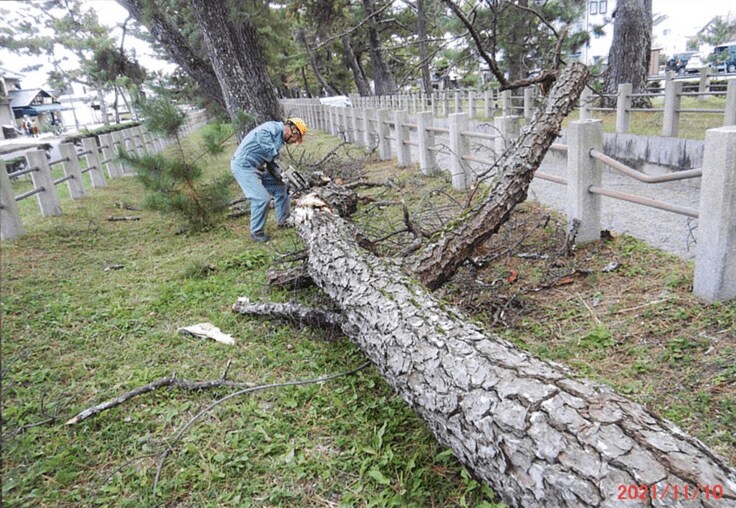 （出典：法隆寺）