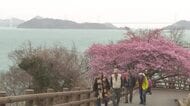 しまなみの潮風にゆれる“早春”　今治市の海浜公園で河津桜が見頃　青とピンクの世界に「素敵」【愛媛】