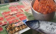 『サケ屋はダメになってしまう。売る品物がなくなる』秋サケ漁が本格化した北海道、初日から“不漁”＿来遊量は前年から半減しピーク時のわずか6%の予想＿秋の味覚が貴重品と化す恐れ〈北海道〉