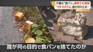 相次ぐ“食パン不法投棄”　新たに海岸で発見　国立公園「大山」近くの県道では４日で39キロ回収　野生動物が誘い出される恐れも　鳥取