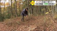 未来は一粒のドングリから… 子どもたちに“里山の森”を 久万高原町のNPO活動に密着【愛媛】