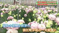 福島「希望」の花が東京オリンピック・ビクトリーブーケに 浪江町のトルコギキョウで伝える感謝