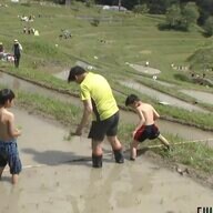 「子どもの食育にもなる」田んぼオーナー制度の人気急上昇…記録的な米高騰で「米作り体験」と「収穫米」の一石二鳥と