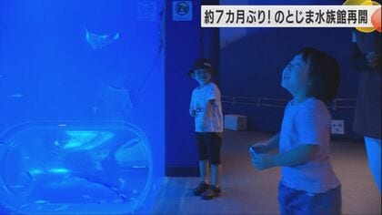 ここでウェディングフォトを撮った夫婦も…のとじま水族館が約7カ月ぶりに再開し大勢の人でにぎわう