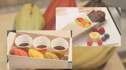 ロッテの“体験型カカオ専門店”で産地別の味に触れる　増加する直営店…狙いは「ブランド強化」