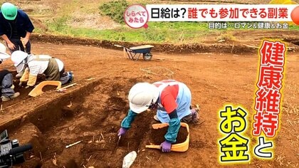 副業でいくら稼いでますか？609人調査【しらべてみたら】