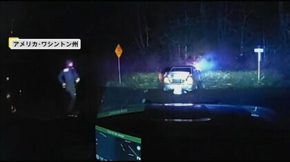 パトカーから逃走中に茂みに追突、事故のはずみで車内から犬1匹が投げ出される　アメリカ・ワシントン州