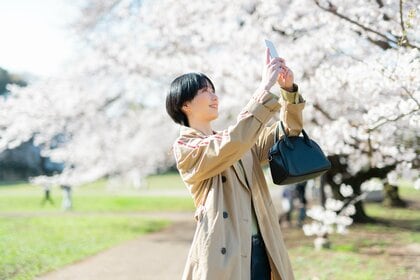 約84%のCHARGESPOTユーザーが「今年もお花見へ行く」 「一人お花見」を楽しむ層も3人に1人