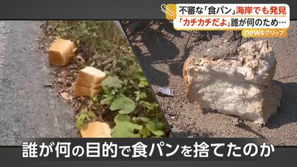 相次ぐ“食パン不法投棄”　新たに海岸で発見　国立公園「大山」近くの県道では４日で39キロ回収　野生動物が誘い出される恐れも　鳥取