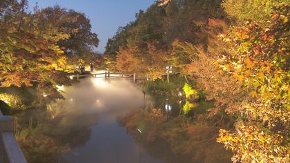 イルミネーションだけじゃない！「なばなの里」で“紅葉のライトアップ”　身体が温まるホットグルメも充実