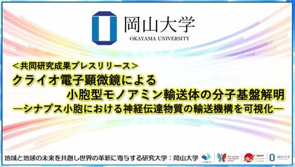 クライオ電子顕微鏡による小胞型モノアミン輸送体の分子基盤解明 -シナプス小胞における神経伝達物質の輸送機構を可視化-〔京都大学, 岡山大学, 大阪大学, 京都工芸繊維大学〕