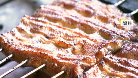 【速報】ウナギ取引規制「否決」確定　国際会議で日本の主張認められる