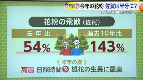 「花粉の飛散予想」去年と比べ半分ほどになる見込み 高温・強風・乾燥に注意【佐賀県】