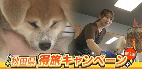 「また行きたい」95％の人気企画が再び　最大1万2000円引きで秋田犬やきりたんぽ作りなど秋田の秋・冬旅を満喫　『まだバレてない秋田県。』キャンペーン第2弾スタート