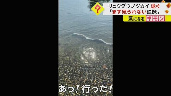 (FNN投稿サイト「ビデオPost」)