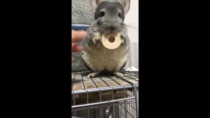 一回受け取るが…