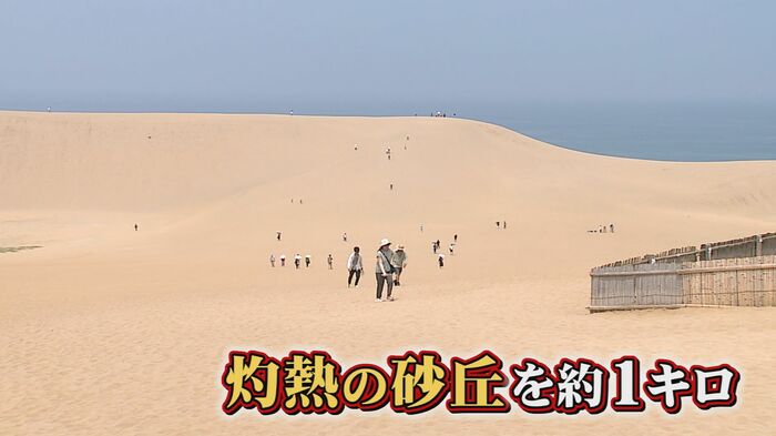 灼熱の鳥取砂丘「馬の背」をめざす観光客 往復すると約1キロの道のり
