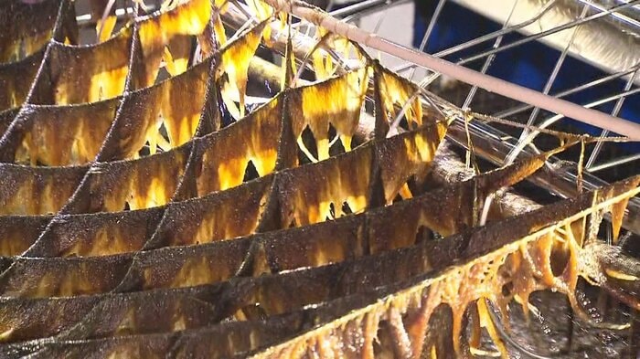 色落ちした養殖ノリ