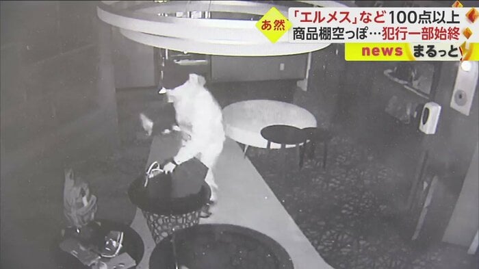 まさに、手当たり次第といった様子で盗み出す
