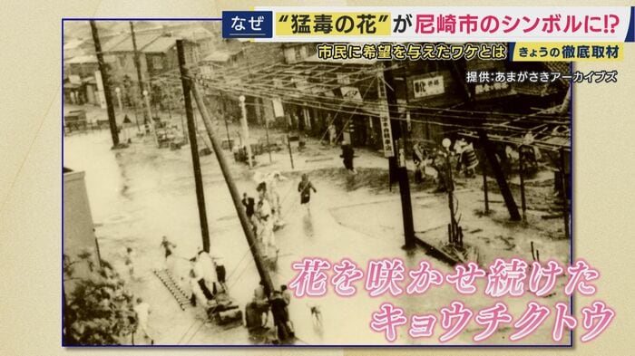 「希望の象徴」