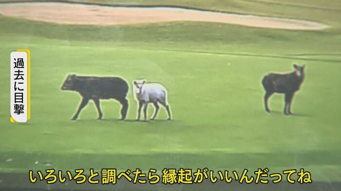 画像提供:過去に目撃した常連客