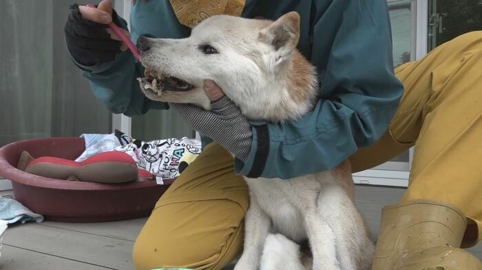 いつも通りの食欲で飼い主もほっとする